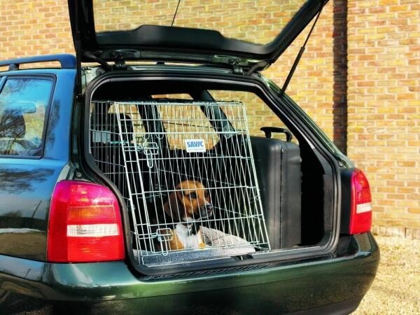 Заказать ограждения в автомобиль для перевозки собак в интернет-магазине